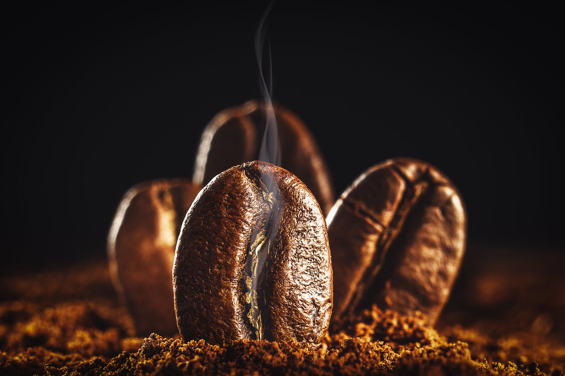 Unlocking the Essence: The Importance of Fresh Beans in Your Coffee Journey