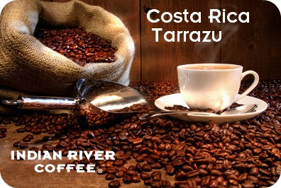 Costa Rican Tarrazu