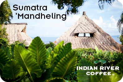 Sumatra 'Mandheling'